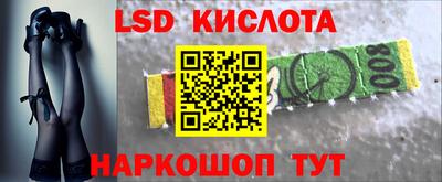 крисы Дубна