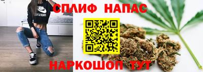 крисы Дубна