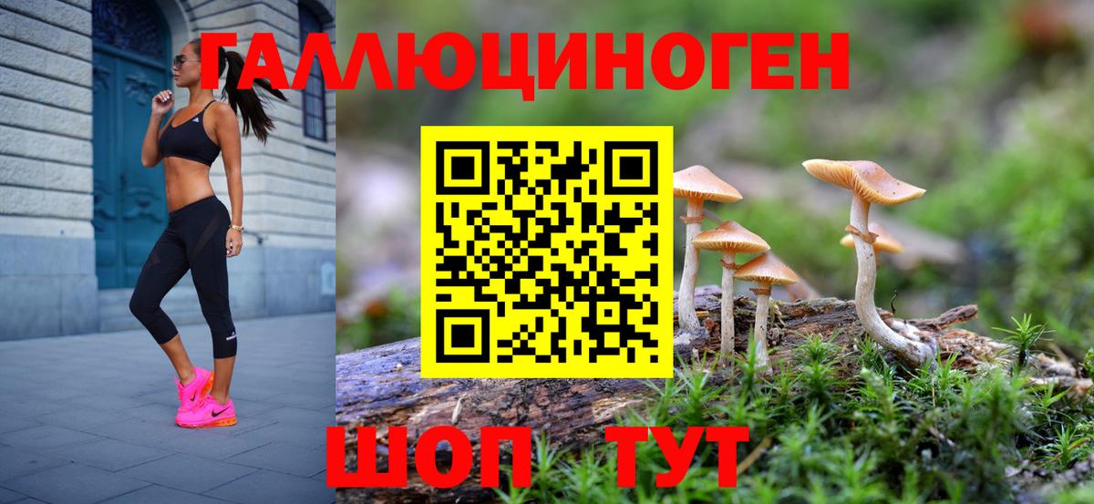 Псилоцибиновые грибы прущие грибы Малоярославец